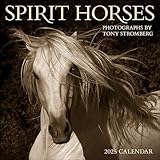 Spirit Horses 2025 Wall Calendar by Tony Stromberg