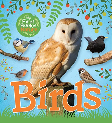 Cover of Birds