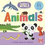 Amazon cover image
