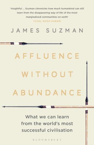 Affluence Without Abundance: What We Can Learn from the World's Most Successful Civilisation book cover