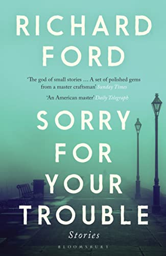 Sorry For Your Trouble book cover