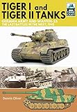 Tiger I And Tiger Ii Tanks German Army And Waffenss The Last Battles In The West 1945
