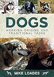 Dogs Working Origins And Traditional Tasks