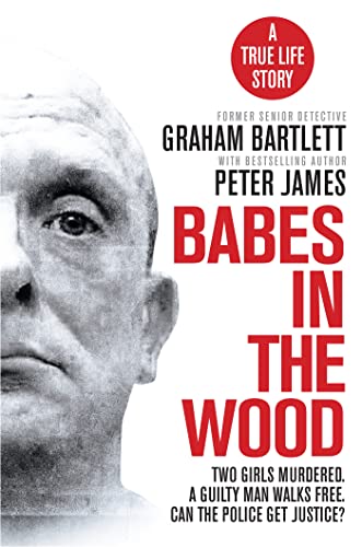 Babes In The Wood book cover