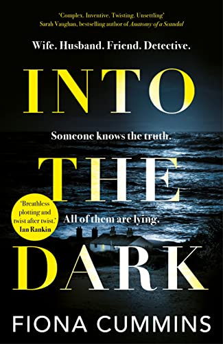 Into the Dark book cover