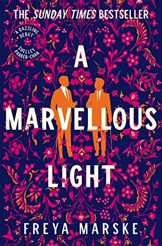 A Marvellous Light book cover