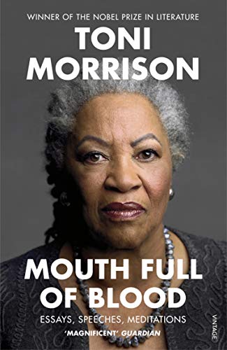 Mouth Full of Blood: Essays, Speeches, Meditations book cover