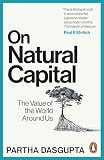 On Natural Capital