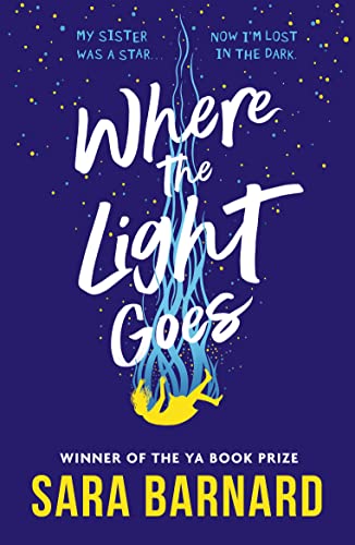 Where the Light Goes book cover