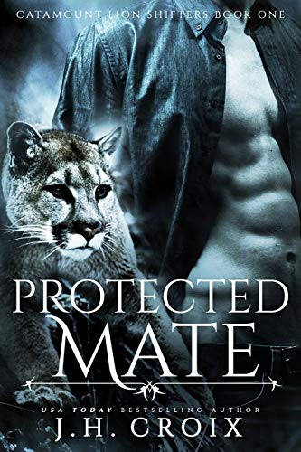 Protected Mate book cover