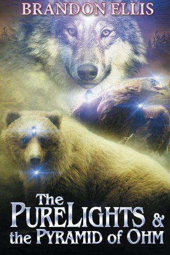 The PureLights & the Pyramid of Ohm book cover