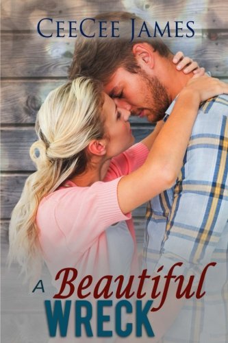 A Beautiful Wreck book cover