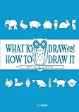 What to Draw and How to Draw It