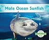 Mola Ocean Sunfish (Super Species)