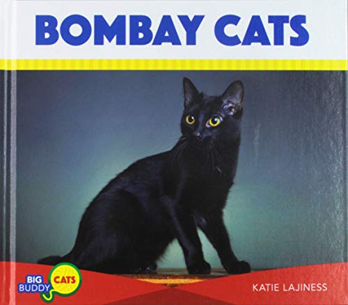 Cover of Bombay Cats
