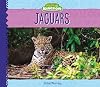 Jaguars (Buddy Books: Animal Kingdom)