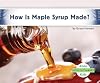 How Is Maple Syrup Made? (How Is It Made?)