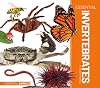 Essential Invertebrates (Essential Animals)