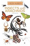 Insects and arachnids