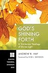 God's Shining Forth: A Trinitarian Theology of Divine Light (Princeton Theological Monographs)