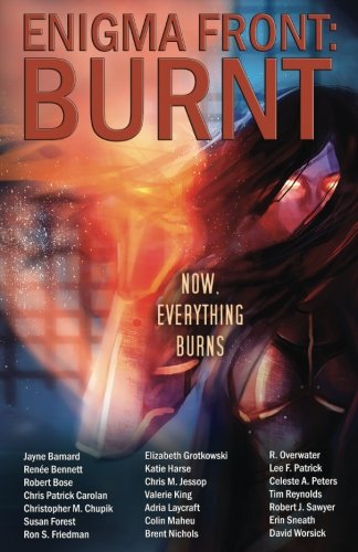 Enigma Front: Burnt book cover