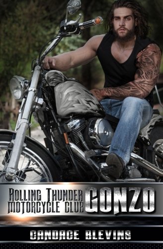 Gonzo book cover