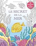 Le Secret De La Mer: Cherche Les Tr%C3%A9sors Du Bateau Qui A Sombr%C3%A9. Un Livre De Coloriage Qui Promet D%C3%A9couverte Et D%C3%A9tente.