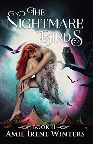 The Nightmare Birds book cover