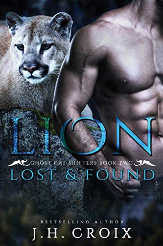 Lion Lost & Found book cover