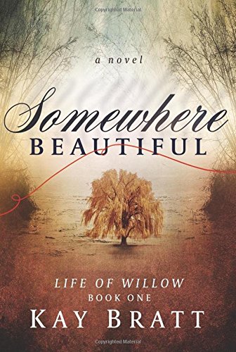 Somewhere Beautiful book cover