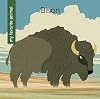 Bison (My Favorite Animal)
