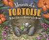 Memoirs of a Tortoise