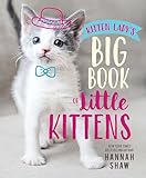 Kitten Ladys Big Book Of Little Kittens