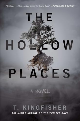 The Hollow Places book cover