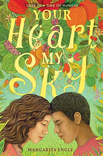 Your Heart My Sky book cover