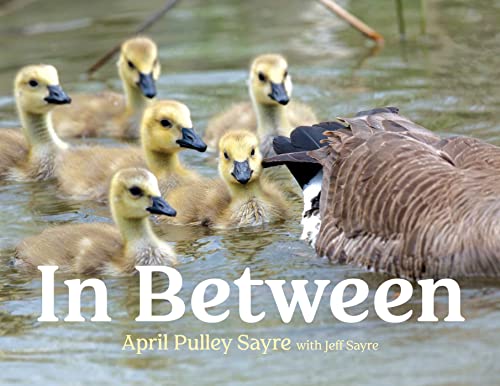 In Between / by Sayre, April Pulley