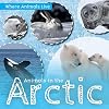Animals in the Arctic (Where Animals Live)