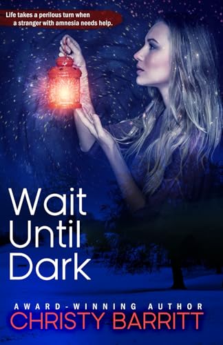 Wait Until Dark book cover
