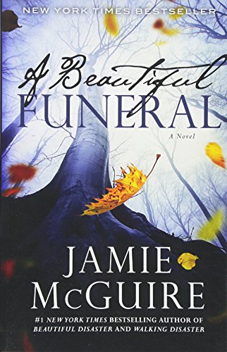 A Beautiful Funeral book cover