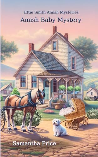 Amish Baby Mystery cover