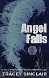 Angel Falls
