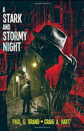 A Stark and Stormy Night book cover