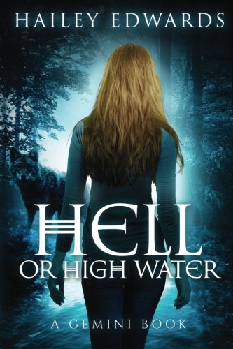Hell or High Water book cover