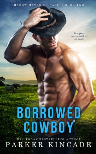 Borrowed Cowboy book cover