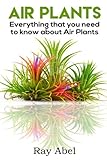 Air Plants All You Need To Know About Air Plants In A Single Book