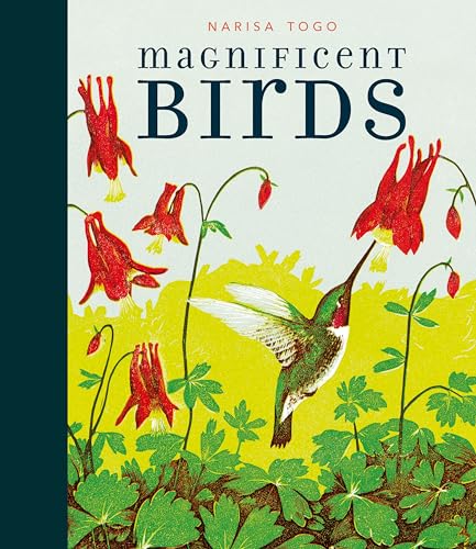 Magnificent Birds book cover