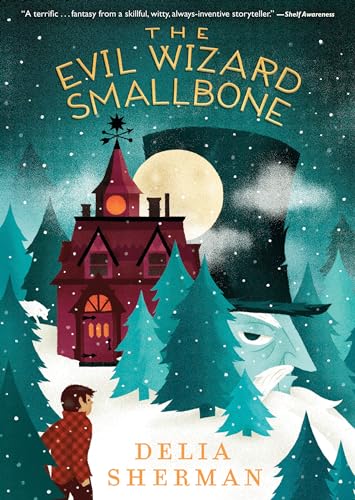The Evil Wizard Smallbone book cover