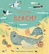 Who's Hiding at the Beach?