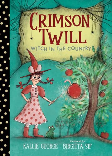Witch in the Country book cover