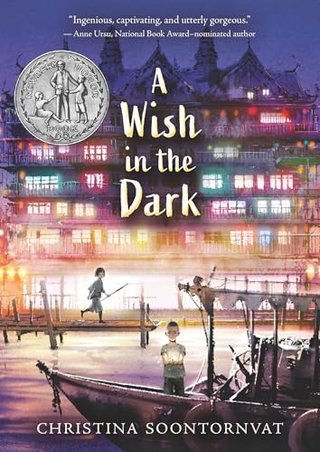 A Wish in the Dark cover